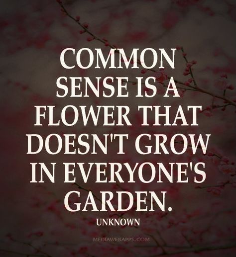 Common sense is a flower that doesn't grow in everyone's garden. Common Sense Is A Flower, Common Sense Is Not That Common, Commonsense Quotes, Garden Botanical, Garden Quotes, Truth Hurts, Funny Messages, Common Sense, Meaningful Words