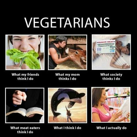 Vegetarian Memes, Vegetarian Quotes, Vegetarian Humor, Vegan Facts, Meat Products, Ovo Vegetarian, Vegan Memes, Vegetarian Life, Vegan Quotes