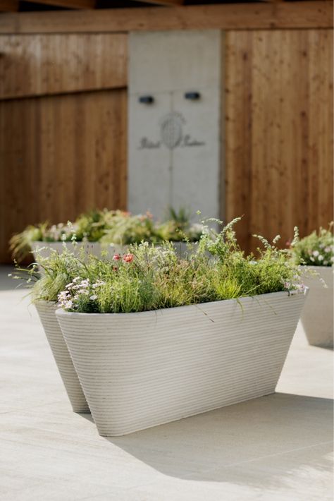 One of the world's first mass-produced planters made with 3D concrete printing technology, designed primarily for public spaces.🪴 Concrete Printing, Mt Sinai, Tourism Design, Printed Concrete, Art Shopping, Architecture Program, Concrete Bench, Outdoor Planter, Concrete Pots