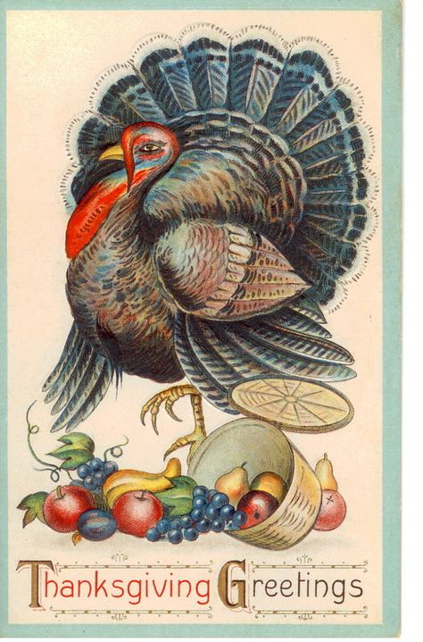 Vintage Thanksgiving Postcard | Flickr - Photo Sharing! Vintage Thanksgiving Cards, Turkey Print, Tom Turkey, Thanksgiving Pictures, Thanksgiving Blessings, Postal Vintage, Thanksgiving Images, Happy Turkey Day, Thanksgiving Art