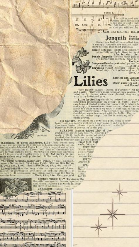 Aesthetic Old Newspaper, Old Newspaper Aesthetic Background, Newspaper Aesthetic Wallpaper, Aesthetic Newspaper Background, Old Newspaper Aesthetic, Newspaper Texture Backgrounds, Vintage Logo Ideas, Cute Newspaper, Aesthetic Newspaper