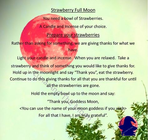 Instead of asking the Moon Goddess give thanks on the Strawberry Moon. Strawberry Full Moon, Full Strawberry Moon, Full Moon Spells, The Moon Goddess, Moon Magick, Strawberry Moon, Moon Spells, Moon Bath, Full Moon Party