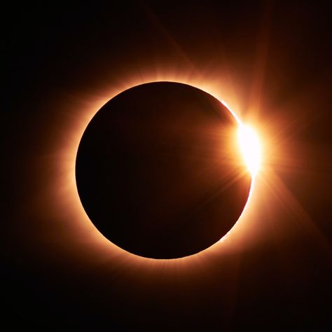 We see four eclipses in 2022, two in May, one in October, and November. Two are a Partial Solar Eclipse, the other two are a Total Lunar Eclipse. Eclipse Of The Moon, Solar Eclipse Pictures, Total Solar Eclipse 2024, Lunar Eclipse Wallpaper, Lunar Eclipse Aesthetic, Eclipse Core, Solar Eclipse Images, Eclipse Aesthetic, Eclipse Series