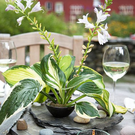 Outdoor Centerpieces, Flower Box Centerpiece, Hosta Leaves, Floral Frog, Arrange Flowers, Table Accents, Table Garden, Tree Centerpieces, Outdoor Party Decorations