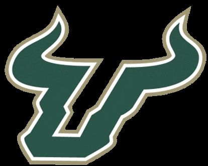 usf Tailgating Ideas, University Of South Florida, Nail Art Inspiration, Family Love, South Florida, Favorite Places, Art Inspiration, University, Florida