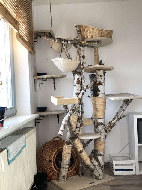 Cat Litter Furniture, Cat Trees Homemade, Real Branch Cat Tree, Cat Room Decor, Cat Tree Designs, Cat Habitat, Cat Wand, Cat Tree Scratching Post, Cool Cat Trees