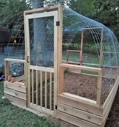 Simple Greenhouse, Diy Greenhouse Plans, Cattle Panels, Outdoor Greenhouse, Greenhouse Shed, Build A Greenhouse, Backyard Greenhouse, Small Greenhouse, Greenhouse Plans