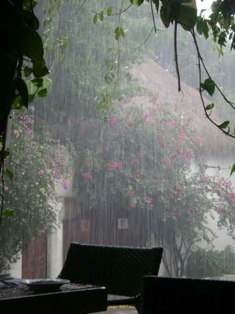 Waterfall Sounds, Rain Pictures, Smell Of Rain, Rainy Day Aesthetic, Morning Rain, I Love Rain, Rain Storm, Love Rain, Spring Rain