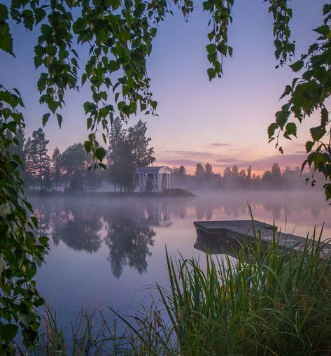 🇫🇮 Dreamy mornings of August (Finland) by Jukka Risikko (@jukkarisikko) on Instagram  🌅 Purple Sky, Nature Aesthetic, Pretty Places, Pretty Pictures, Mother Nature, Beautiful Nature, Aesthetic Pictures, Aesthetic Wallpapers, Beautiful Places