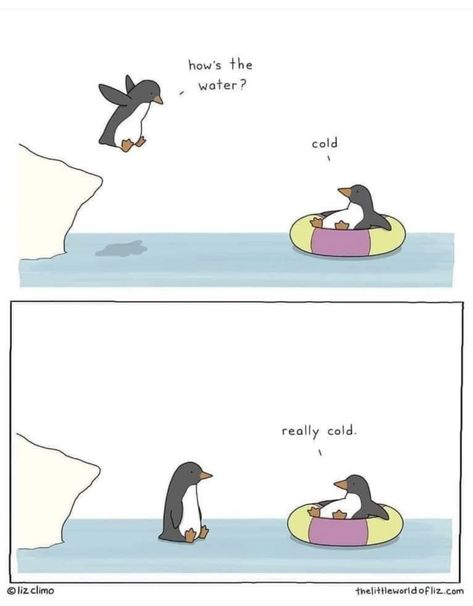 Liz Climo Comics, Liz Climo, Talking Animals, Cute Jokes, Science Jokes, It's Funny, Animal Jokes, Cute Comics, Funny Cartoons