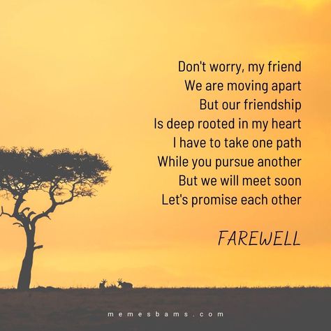 Saying Goodbye To a Friend: 134 Farewell Quotes for Friendship in 2021 Saying Goodbye To A Friend, Goodbye To A Friend, Quotes For Friendship, Quotes For Best Friends, Goodbye Note, Notes For Friends, Goodbye My Friend, Goodbye Message, Gorgeous Quotes