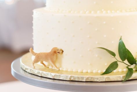 Dog on back of wedding cake Simple Wedding Cake With Dog, Wedding Cake With Golden Retriever, Golden Retriever On Wedding Cake, Wedding Cake With Dog, Wedding Cake With Dog Eating, Simple Wedding Cake With Dog Topper, Wedding Cake Dog Peeking, Golden Retriever Wedding, Dog Figurine Wedding Cake