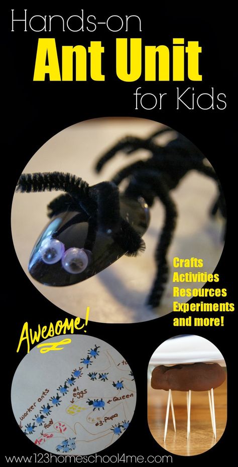 Hands on ANT unit for kids - includes tons of ant craft, ant activities and more for toddler, preschool, prek, kindergarten, first grade, second grade to explore bugs and science at home, for summer learning, and homeschooling Insects Prek, Ant Unit Study, Ant Lesson, Ant Life Cycle, Ants Activities, Ant Crafts, 123 Homeschool 4 Me, Ant Art, Bugs Preschool