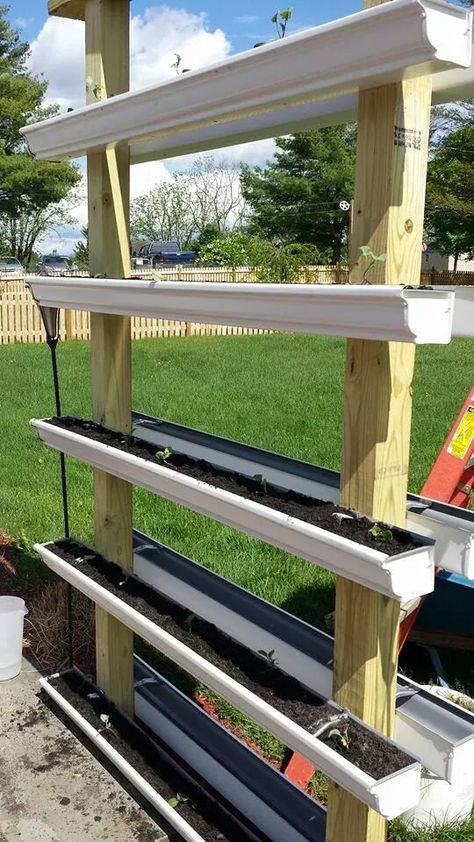 Gutter Garden, Herbs Garden, Vertical Vegetable Garden, Strawberry Garden, Vertical Garden Diy, Diy Raised Garden, Backyard Vegetable Gardens, Veg Garden, Have Inspiration