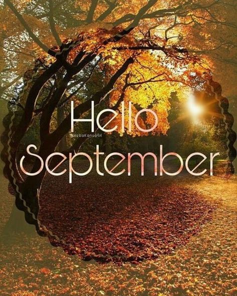 10 Hello September Quotes To Welcome The New Month Happy New Month September, Hello September Quotes, Hallo November, Hello September Images, November Pictures, November Images, New Month Wishes, September Images, Hope Pictures