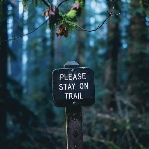 Until Dawn Aesthetic, Trail Signage, Dawn Aesthetic, Until Dawn, Please Stay, Creative Community, Digital Art, Forest, Paintings