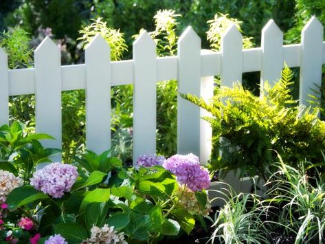 These creative ideas for affordable fences will help you gain privacy, border definition and good looks at a fraction of the price. Diy Fence Ideas Cheap, Cheap Fence Ideas, Wattle Fence, Short Fence, Landscaping Along Fence, Garden Retaining Wall, Wood Fence Design, Small Fence, Rustic Patio