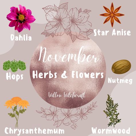 July Witchcraft, November Correspondences, November Witchcraft, November Magick, Full Moon Meaning, Herb Magick, Pagan Holidays, Moon Meaning, Moon Names