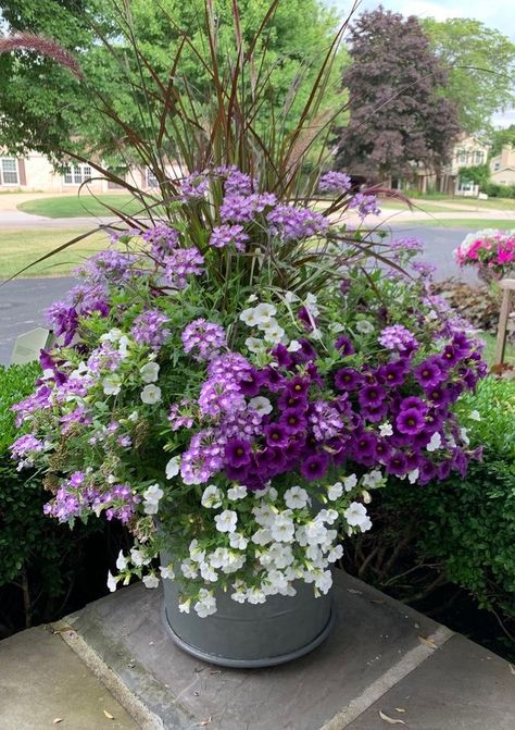 Annual Flower Arrangements In Pots, Flower Planter Ideas Outdoor Full Sun, Landscape With Flower Pots, Annual Flower Pots Ideas, Outside Potted Plant Ideas, Full Sun Flower Pot Ideas, Container Flowers Combinations, Large Container Planting Ideas, Purple Annual Flowers