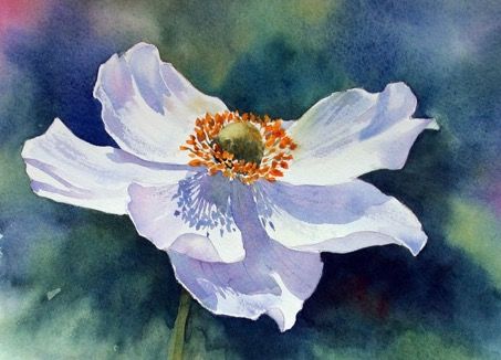 Ann Mortimer, Japanese Anemone, Anemone Flower, Japanese Flowers, Watercolor Flowers Paintings, Botanical Watercolor, Watercolor Inspiration, Arte Floral, Art Floral