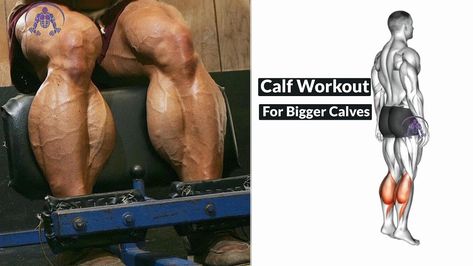 Want to know how to get bigger calves? Here are the best calf exercises. #biggercalf #calfexecises #legsworkout #biggerlegs #legsday #legsexercises #workout #fitness #gym #gymworkout #bestexercises #bestworkout Best Calf Exercises, Calf Workout, Bigger Calves, Calf Training, Calves Exercises, Calf Exercises, Big Calves, How To Get Bigger, Leg Press