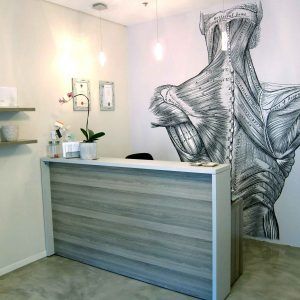 Physio Clinic Interior Design, Clinic Wall Design, Physiotherapy Clinic Interior Design, Muscle Wallpaper, Physiotherapy Room, Chiropractic Office Decor, Physio Clinic, Chiropractic Office Design, Anatomy Wallpaper