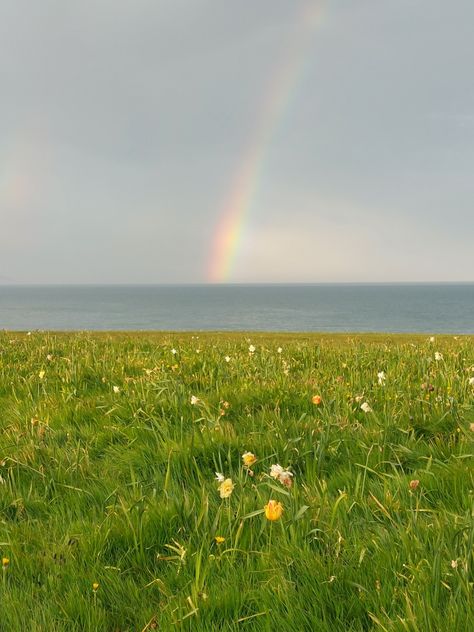 Flowers and a rainbow aestethic May Astethic, Spring Rainbow, Rainbow Flowers, A Rainbow, Rainbow, Flowers, Nature