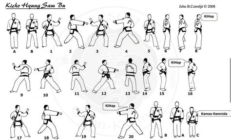 Basic 3 Taekwondo Forms, Korean Martial Arts, Tang Soo Do, Ninja Training, Martial Arts Techniques, Online Products, Hapkido, Gifts For Photographers, Amazing Pics