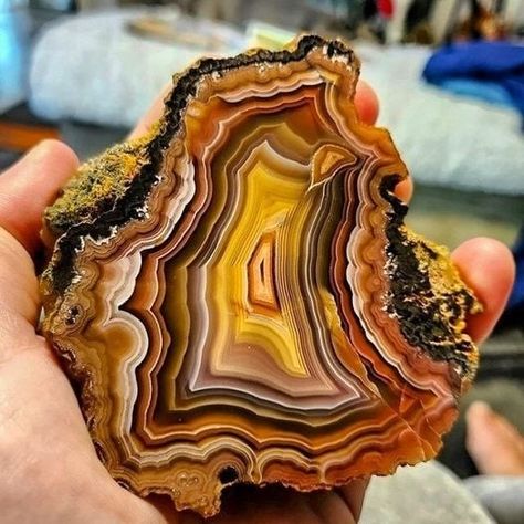 Coyamito Agate, Check Mark, Under The Rainbow, Best Mysteries, Unusual Things, Natural Phenomena, Blue Check, Nature Images, Gems And Minerals