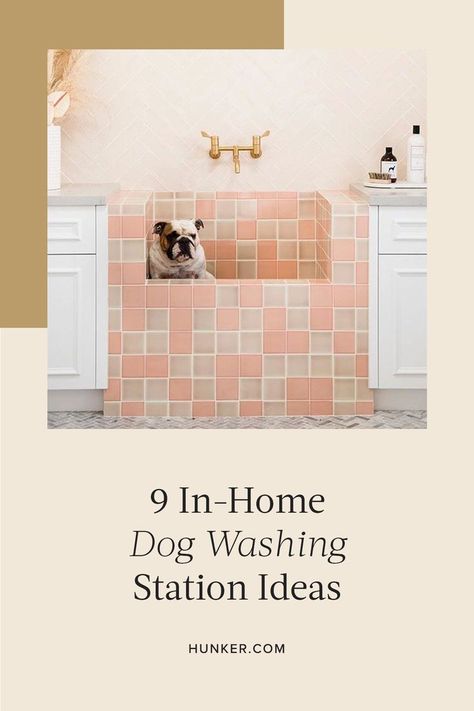 Whether you're planning a garage makeover or any type of new entryway setup, think about installing a dog wash. As Instagram proves — they're not only functional, but also super cute! #hunkerhome #pets #dogwashing #bathroom #dog Home Dog Washing Station, Pet Washing Station, Cozy Cottage Kitchen, Blue Subway Tile, Washing Station, House Bedroom Ideas, Dog Washing Station, Three Birds Renovations, Diy Cleaning Hacks