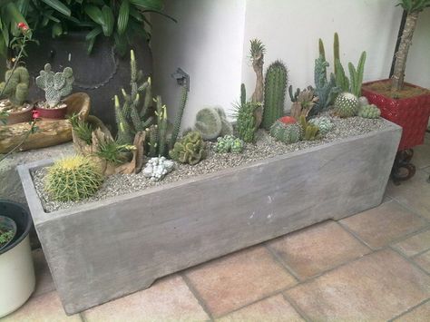 Rectangle Pot Plant Ideas, Cactus Raised Bed, Cactus Planter Box Outdoor, Mixed Cactus Planter, Cactus Planter Ideas Outdoor, Cactus Planter Ideas, Cactus Garden Design, Window Box Garden, Cactus Wall