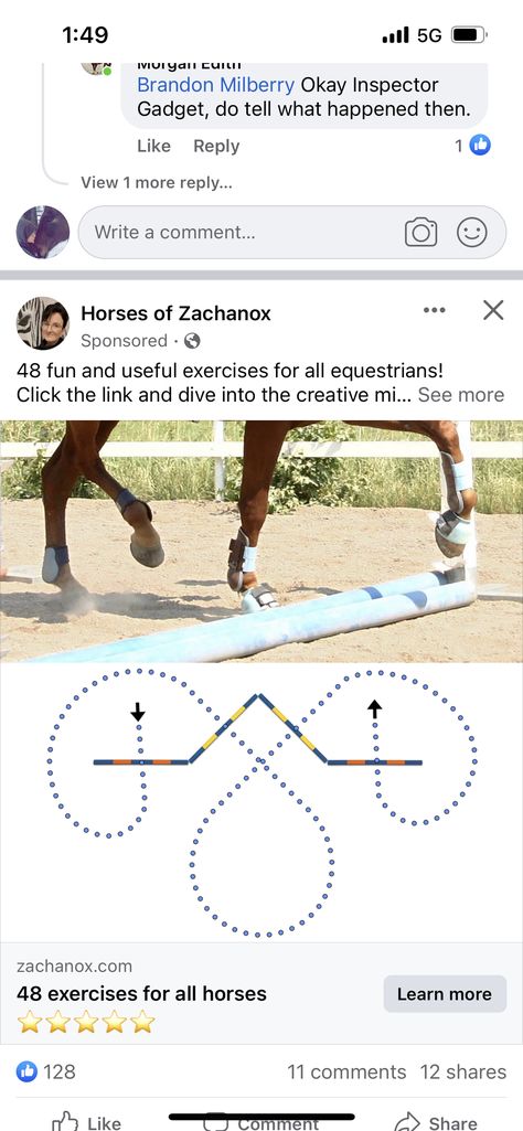 Horse Pole Exercises, Polework Exercises Horse, Pole Work For Horses, Barrel Racing Exercises, Horse Jumping Exercises, Riding Ideas, Horse Training Exercises, Horse Lessons, Dressage Training