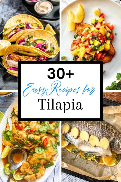 30  Easy Unique Tilapia Recipes To Make For Dinner - West Coast Kitchen Garden Baked Tilapia Fillets, White Fish Recipes Baked, West Coast Kitchen, Tilapia Dishes, Tilapia Dinner, Baked Tilapia Recipes, Best Smoked Salmon, Recipes To Make For Dinner, Frozen Tilapia