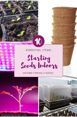 Starting Seeds Indoors: A Guide for Beginners - Create With Jennifer Starting Vegetable Seeds, Urban Balcony, Starting Seeds, Starting A Vegetable Garden, Starting Seeds Indoors, Vegetable Seeds, Backyard Lighting, Gardening Advice, Landscaping Tips