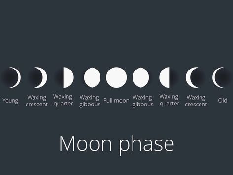 The phases of the moon. The whole cycle from new moon to full. Lunar Witchcraft, Spells And Rituals, Sagittarius Moon, Taurus Moon, Setting Intentions, New Moon Rituals, Capricorn Moon, Pisces Moon, Spiritual Stuff