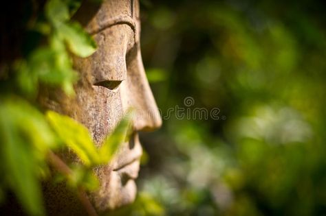 Buddha face in a garden. A side profile of a buddha face in a sunlit garden , #affiliate, #garden, #face, #Buddha, #side, #sunlit #ad Side Face, Buddha Face, Side Profile, Stock Photography Free, Vector Design, A Garden, Stock Photography, Design Ideas, Royalty