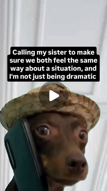 Amy Knappick/ How to Make Money Online on Instagram: "Who is more dramatic? You or you sister?😆

#sisters #bestfriends #humor 
#relatable #sistersquad" Sister Memes Funny, Relatable Meme, Older Siblings, Trending Songs, Best Friend Goals, Simplest Form, Friendship Goals, Daily Memes, May 11