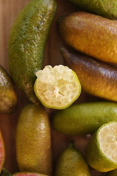 What are Finger Limes? Often called Citrus Caviar, these limes are so cool! Little bits of sour, and ever so subtly sweet citrus "bubbles" pop in your mouth. #limes #fingerlimes #citrus Limes Aesthetic, Finger Limes, Lime Trees, Aesthetic Fruit, Finger Lime, Lime Tree, Sweet Citrus, Exotic Fruit, Lemon Tree