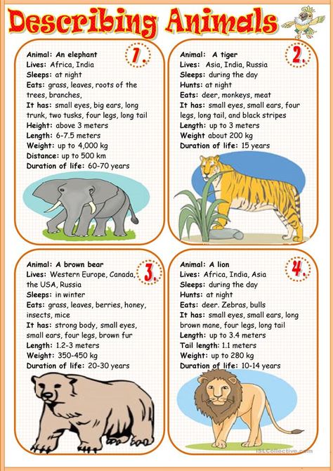 Describing animals 1 - English ESL Worksheets for distance learning and physical classrooms Describing Animals Worksheets, Animal Fact File, Ingles Kids, Different Animals, English Exercises, English Games, English Activities, English Reading, English Language Learning