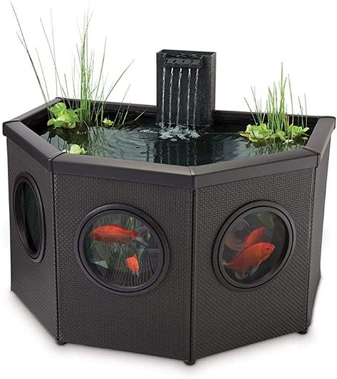 Small Fish Pond, Patio Water Feature, Aqua Garden, Indoor Pond, Moon Pool, Mini Pond, Pond Kits, Patio Pond, Pool Kits