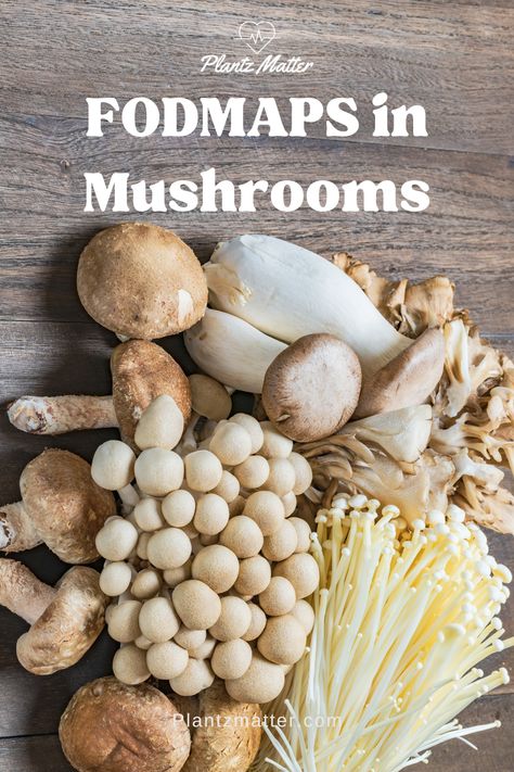 Discover which mushrooms are high in FODMAPs and how to enjoy them on a low FODMAP diet. Learn tips on reducing FODMAP content through cooking and find out which mushrooms are safer for sensitive stomachs. Perfect for those with IBS or digestive sensitivities! Explore FODMAP-friendly options and improve your digestive health with insights from Monash University. Types Of Mushrooms, Better Digestion, Fodmap Friendly, Monash University, Oyster Mushrooms, Sensitive Stomach, Low Fodmap Diet, Fodmap Diet, Low Fodmap