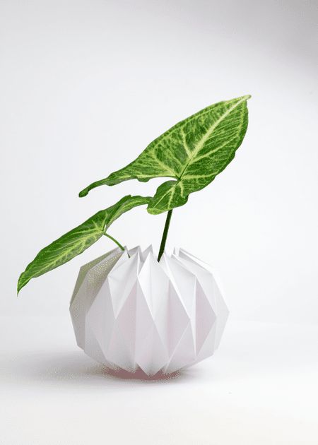 DIY Origami Plant Pot Covers  Try for pencil holder covers? Origami Vase Easy, Origami Pot, Paper Kawaii, Plant Diy, Diy Flower Boxes, Origami Swan, Geometric Origami, Origami Fish, Plant Pot Covers