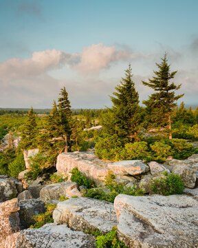 West Virginia Photography, Monongahela National Forest, Virginia Photography, Landscape Inspiration, Hotel Motel, Posters Framed, Image House, National Forest, City Skyline