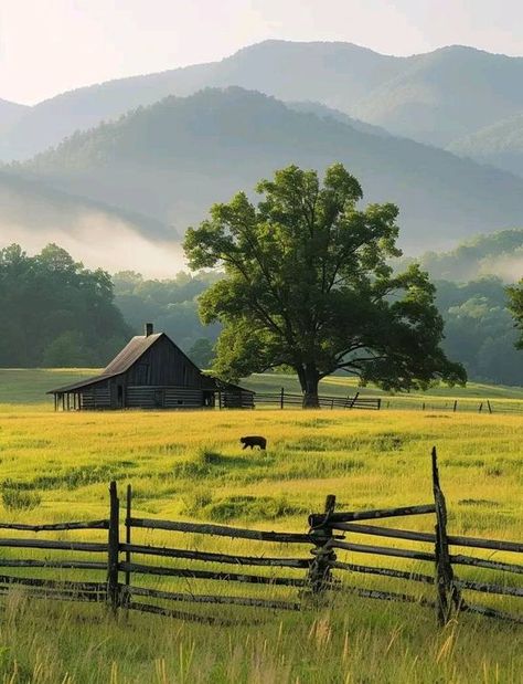 Beautifull Tennessee & Great Smoky Mountains | Cades Cove, Great Smoky Mountains, Tennessee 🇺🇲 | Facebook Lookout Mountain Tennessee, Mountains Tennessee, Smoky Mountains Tennessee, Cades Cove Tennessee, Mountain Vibes, Mountains Aesthetic, Smokey Mountain, Lookout Mountain, Cades Cove