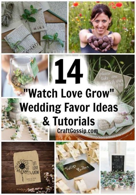 14 �Watch Love Grow� Wedding Favor Ideas – DIY Weddings Terrarium Wedding Favor, Wedding Favor Sayings, Bridal Emergency Kits, Wedding Flavors, Plant Wedding Favors, Seeds Gifts, Hunting Wedding, Terrarium Wedding, Summer Wedding Diy