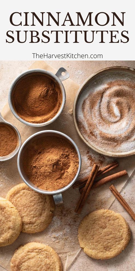 Substitute For Cinnamon, Cinnamon Substitute, Cinnamon Allergy, Harvest Kitchen, Cinnamon Tea, Apple Pie Spice, Cinnamon Oil, Ginger And Cinnamon, Cinnamon Recipes