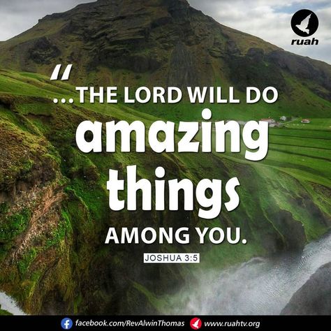 Alwin Thomas on Instagram: “… the Lord will do amazing things among you.” Joshua 3:5 (NIV) #dailybreath #ruah #ruahchurch #ruahministries #promiseverse…” Joshua Bible, Joshua 5, Faithful God, Blessing Words, Body Of Christ, Christian World, Spiritual Words, Names Of God, Gospel Of Jesus Christ