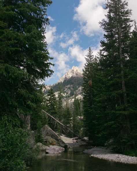 A weekend spent Wandering the Winds. . 22.2 miles on a unnamed trail in an unnamed canyon in the rural Wyoming Mountains. The wildflowers were in full bloom and adorned the land with vibrancy & the weather wrapped us in the cool shawl of summer in the West. These are the weekends that refresh my soul. . #wyomingwild #wyomingphotographer #wandering #backpacking #wild Wyoming Aesthetic, Pnw Vibes, Wyoming Ranch, Wyoming Mountains, Heaven Is Real, I Know A Place, Americana Aesthetic, Jackson Wyoming, Camping Vibes