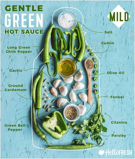 Make Hot Sauce, Green Hot Sauce, Honey Lime Shrimp, Homemade Hot Sauce, Habanero Hot Sauce, Hot Sauce Recipes, Lime Shrimp, Food Infographic, Chilli Sauce