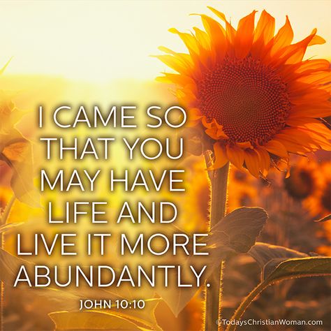 "I came so that you may have life and live it more abundantly." Jesus, John 10:10 John 10, John 10 10, Retreat Ideas, Divine Healing, Inspirational Scripture, Bible Scripture, Lion Of Judah, God's Plan, Abundant Life